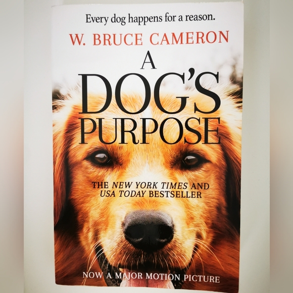 W. Bruce Cameron: A Dog's Purpose - Picture 1 of 2